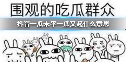 抖音吃瓜群众最新瓜,揭秘娱乐圈惊人内幕